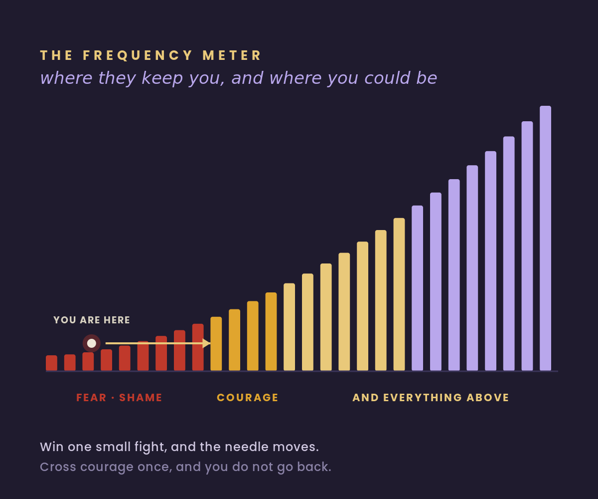 A consciousness meter: fear and shame in red at the low end, courage in the middle, and everything above it